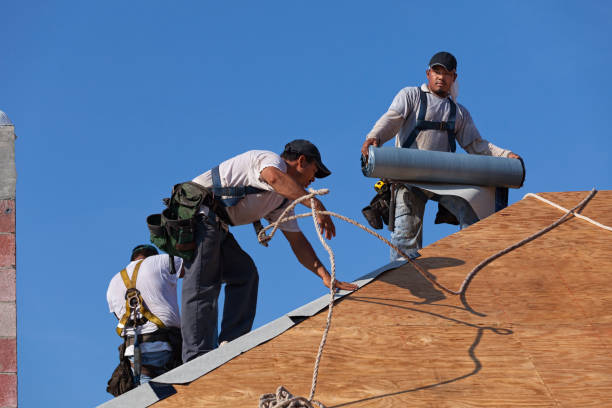 Best Metal Roofing Contractor  in St Francisville, LA